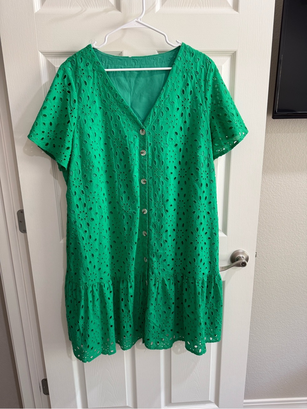 Amazon Green Eyelet Button-Front V-Neck Dress
